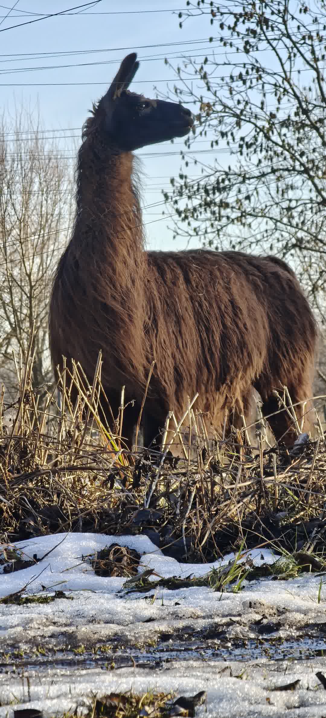 Kajak Foto