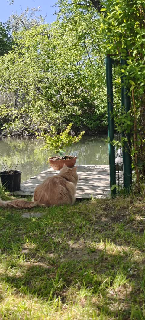 Kajak Foto