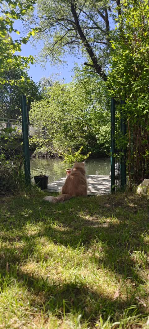 Kajak Foto