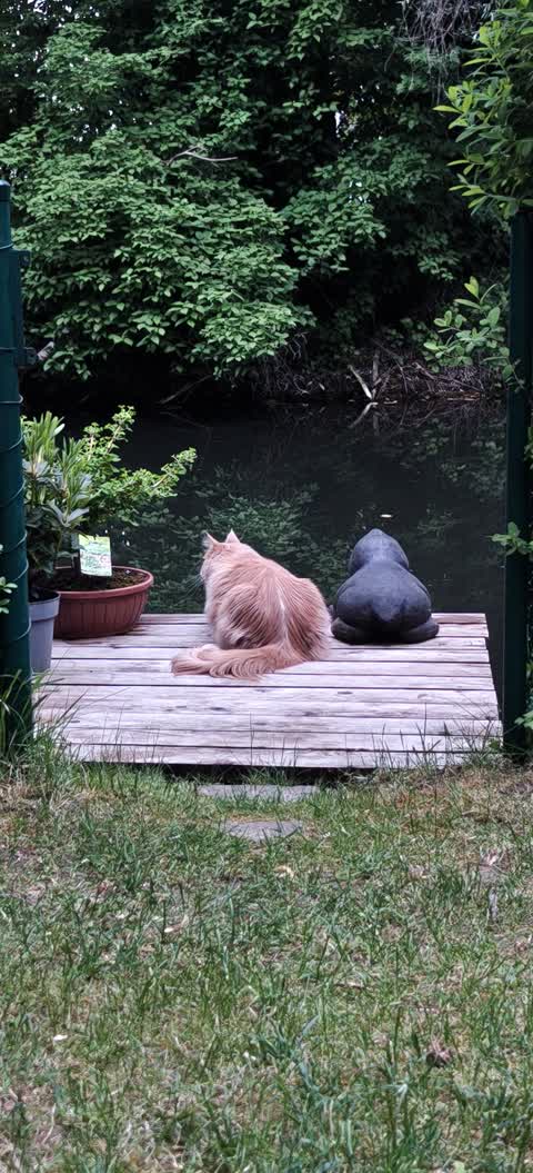 Kajak Foto