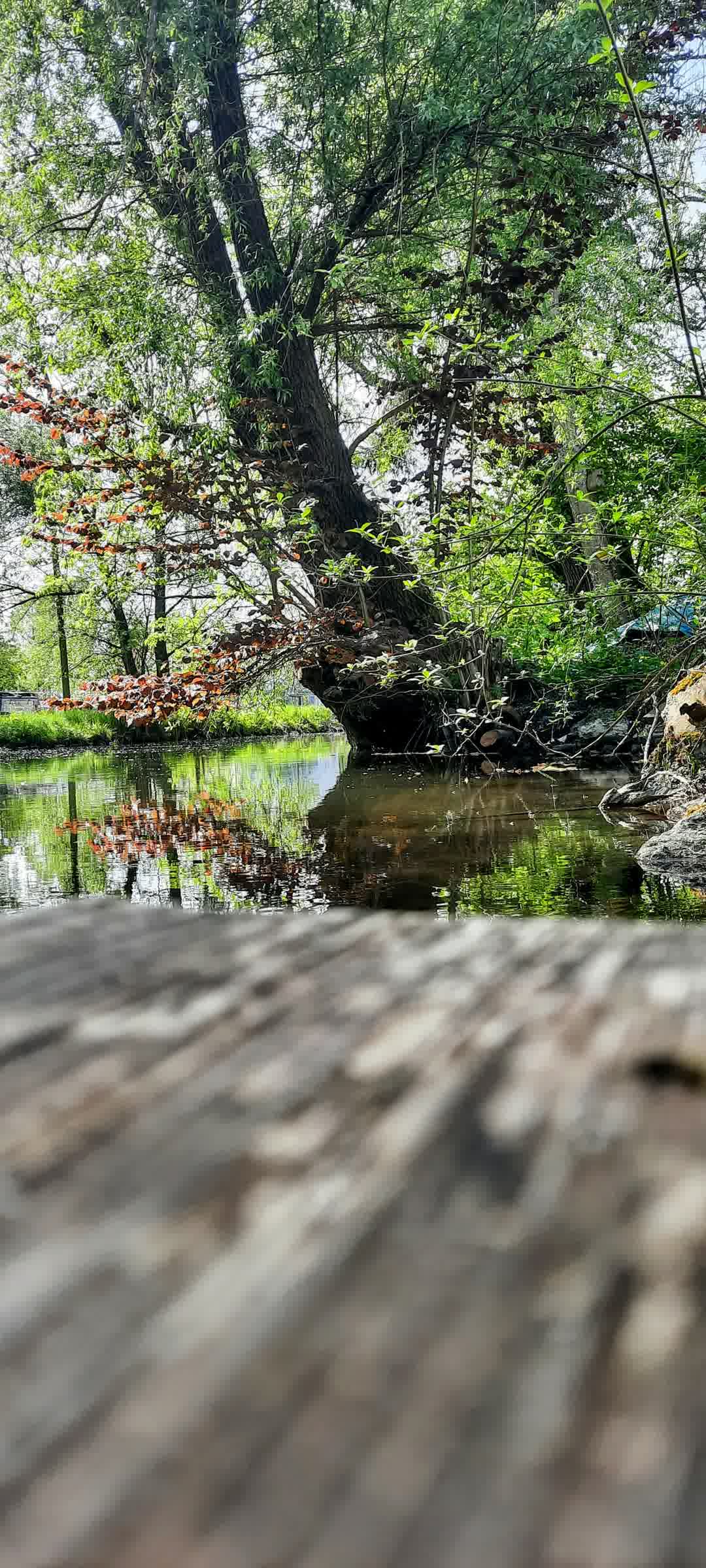 Kajak Foto