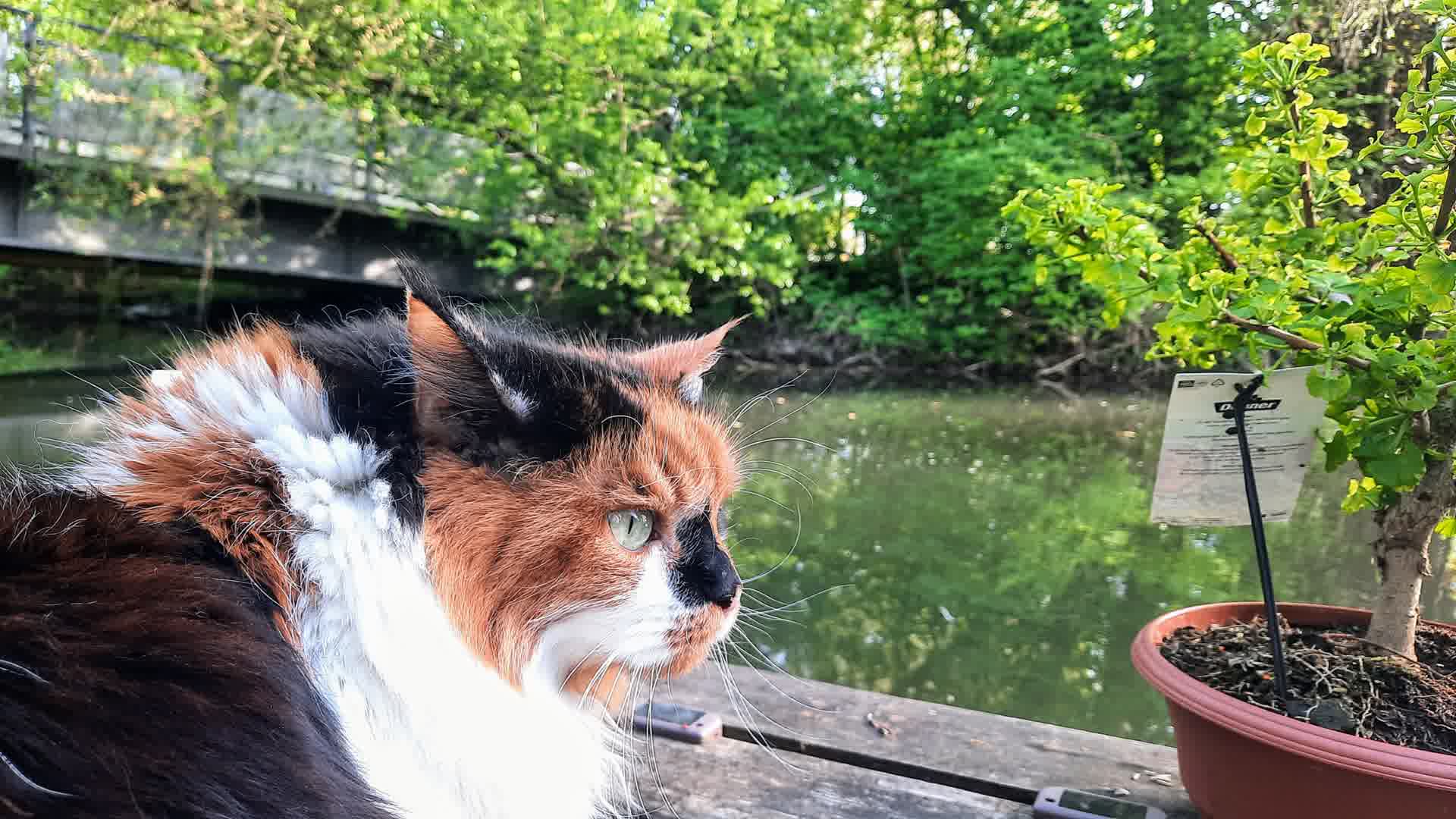 Kajak Foto