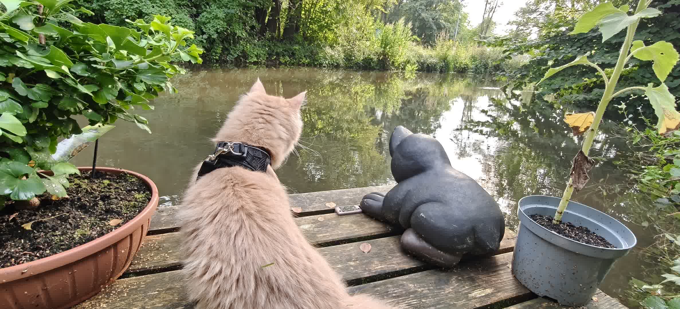 Kajak Foto