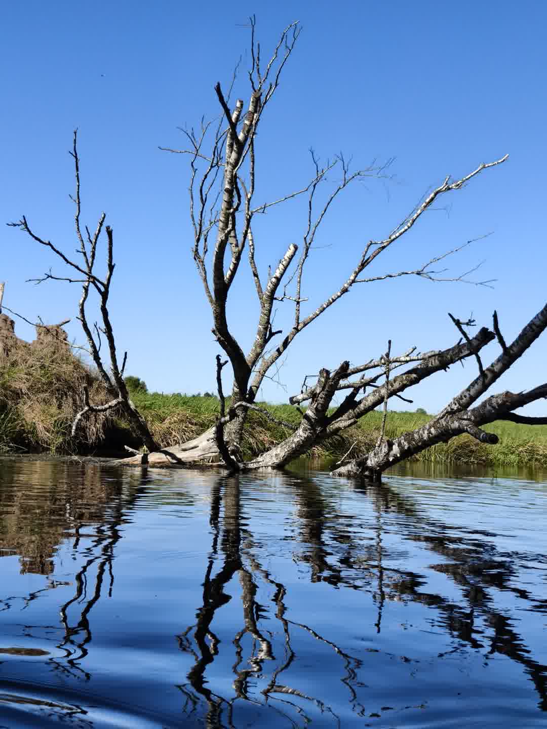 Kajak Foto