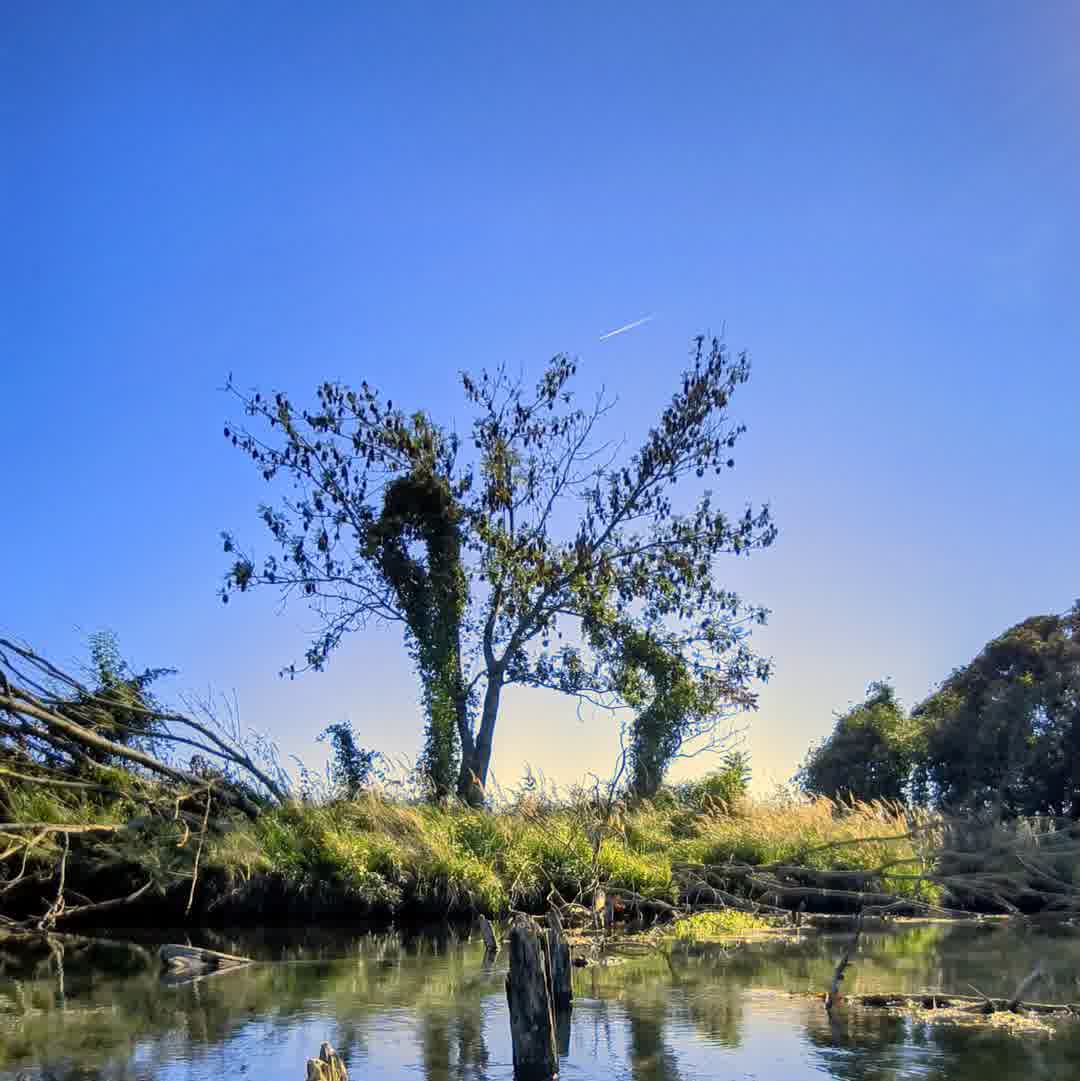 Kajak Foto