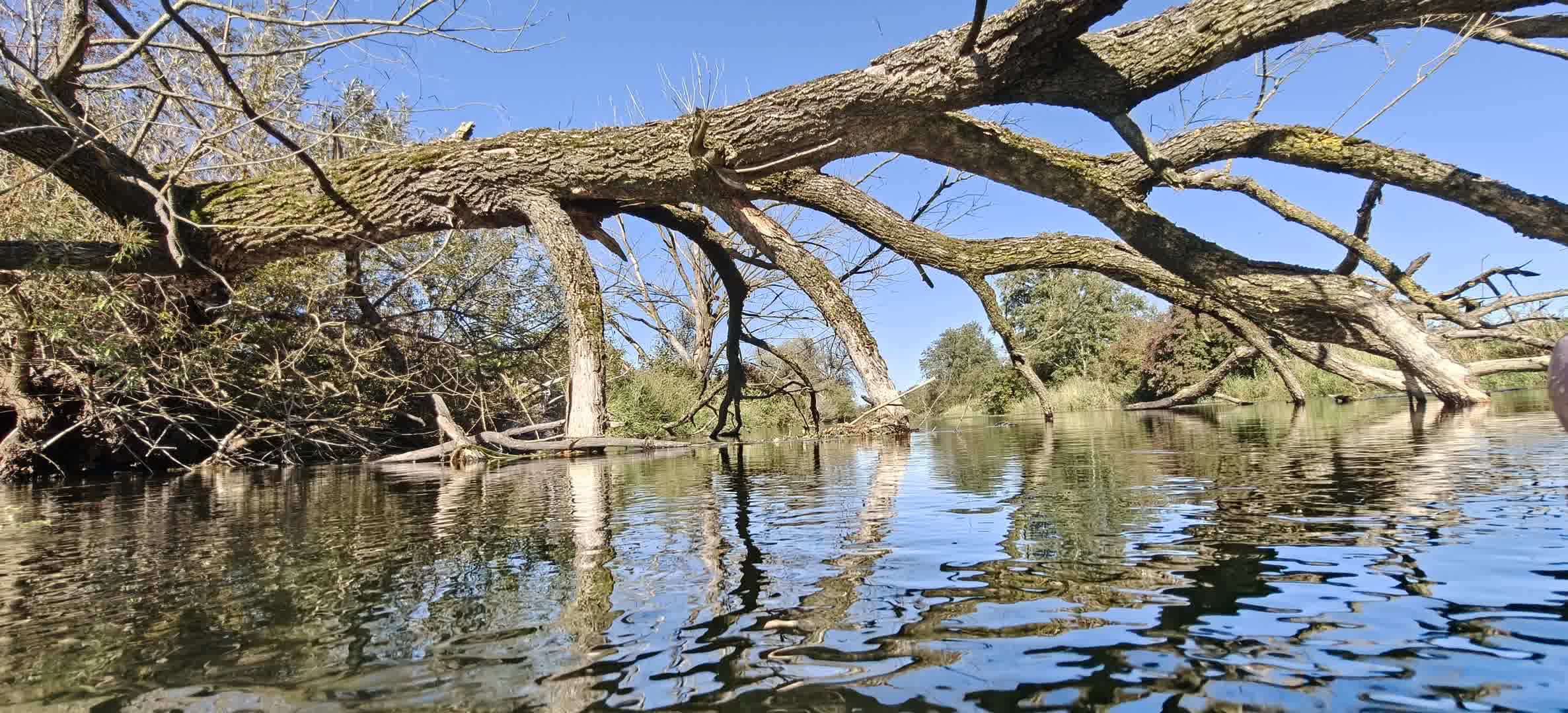 Kajak Foto