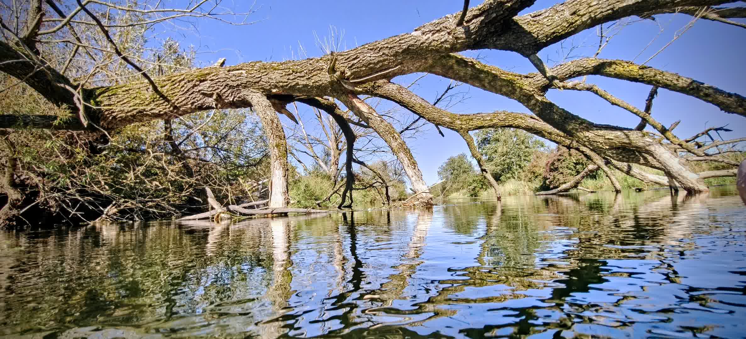 Kajak Foto