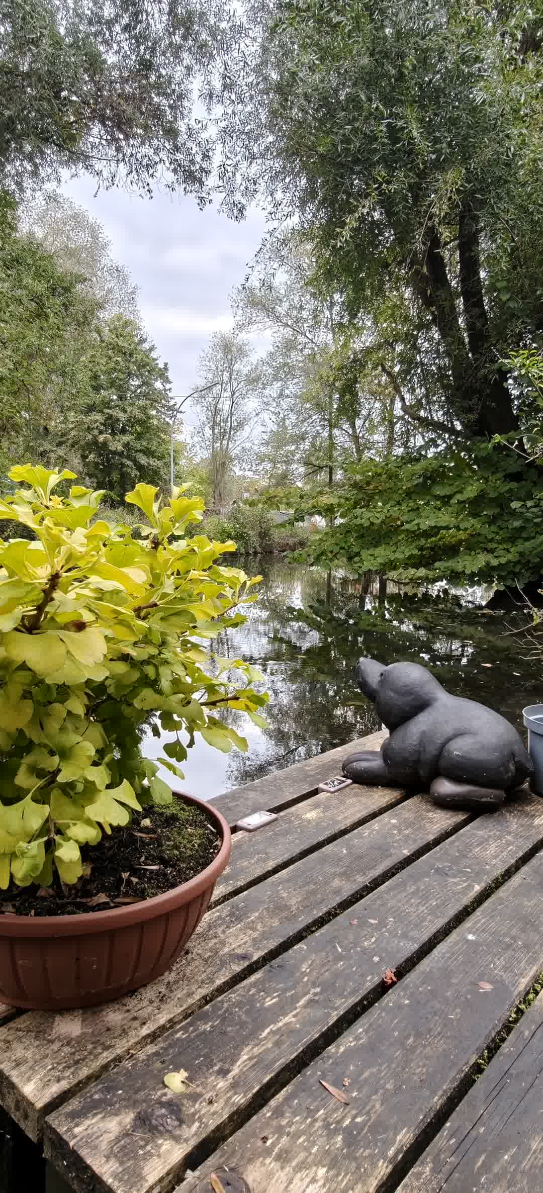 Kajak Foto