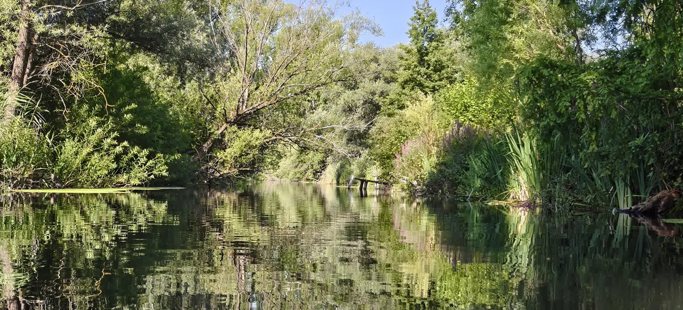 Kajak Foto